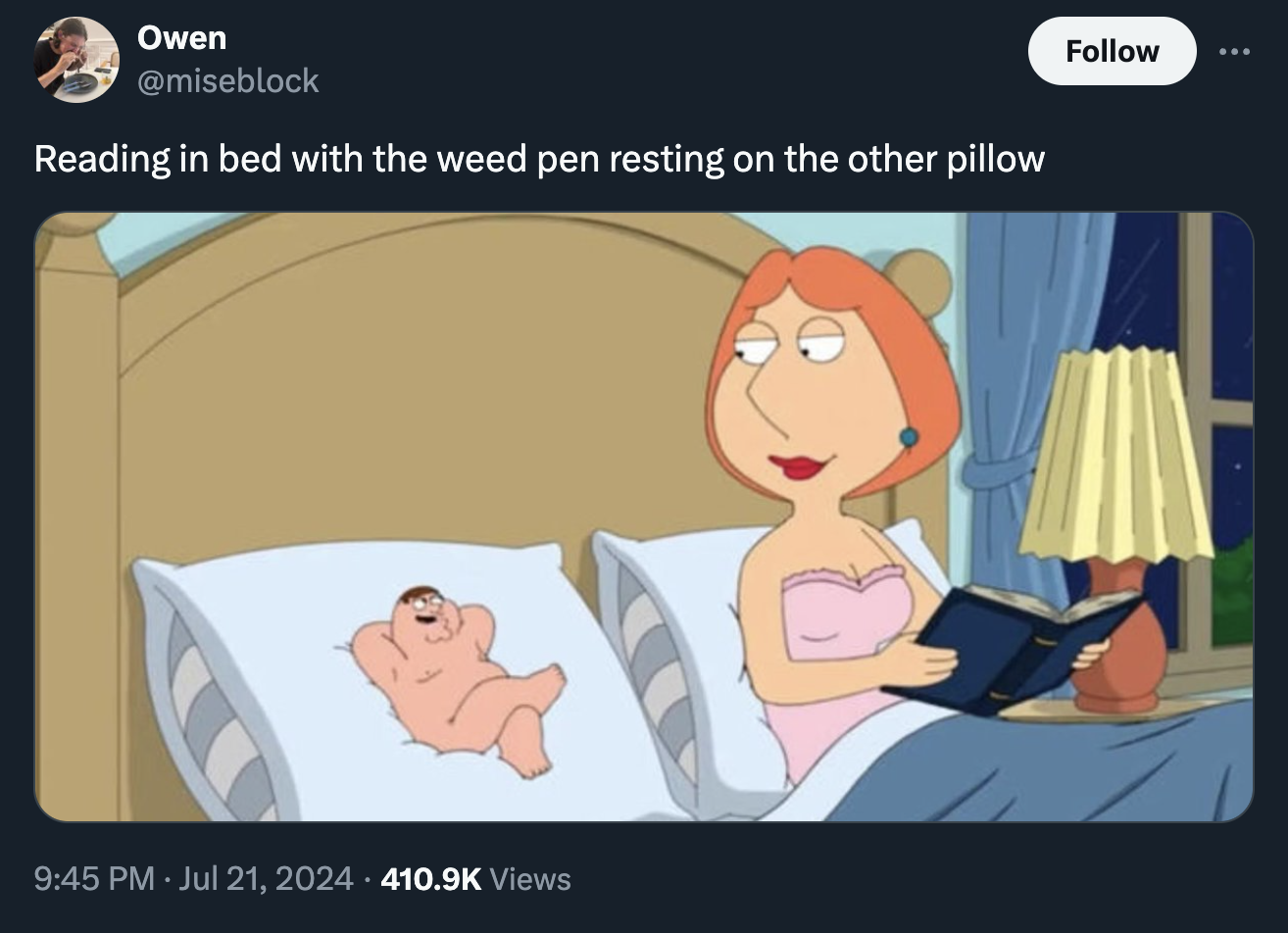 mini pita meme - Owen Reading in bed with the weed pen resting on the other pillow Views